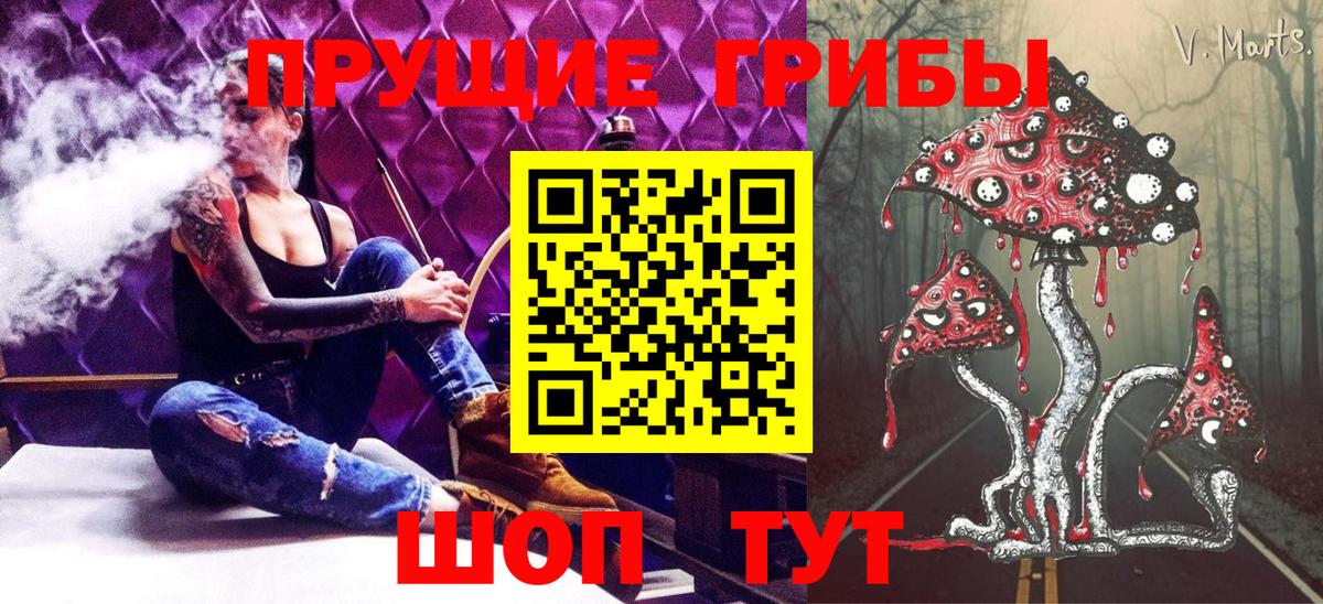 Амурск  Псилоцибиновые грибы MAGIC MUSHROOMS  Вход с VPN 
